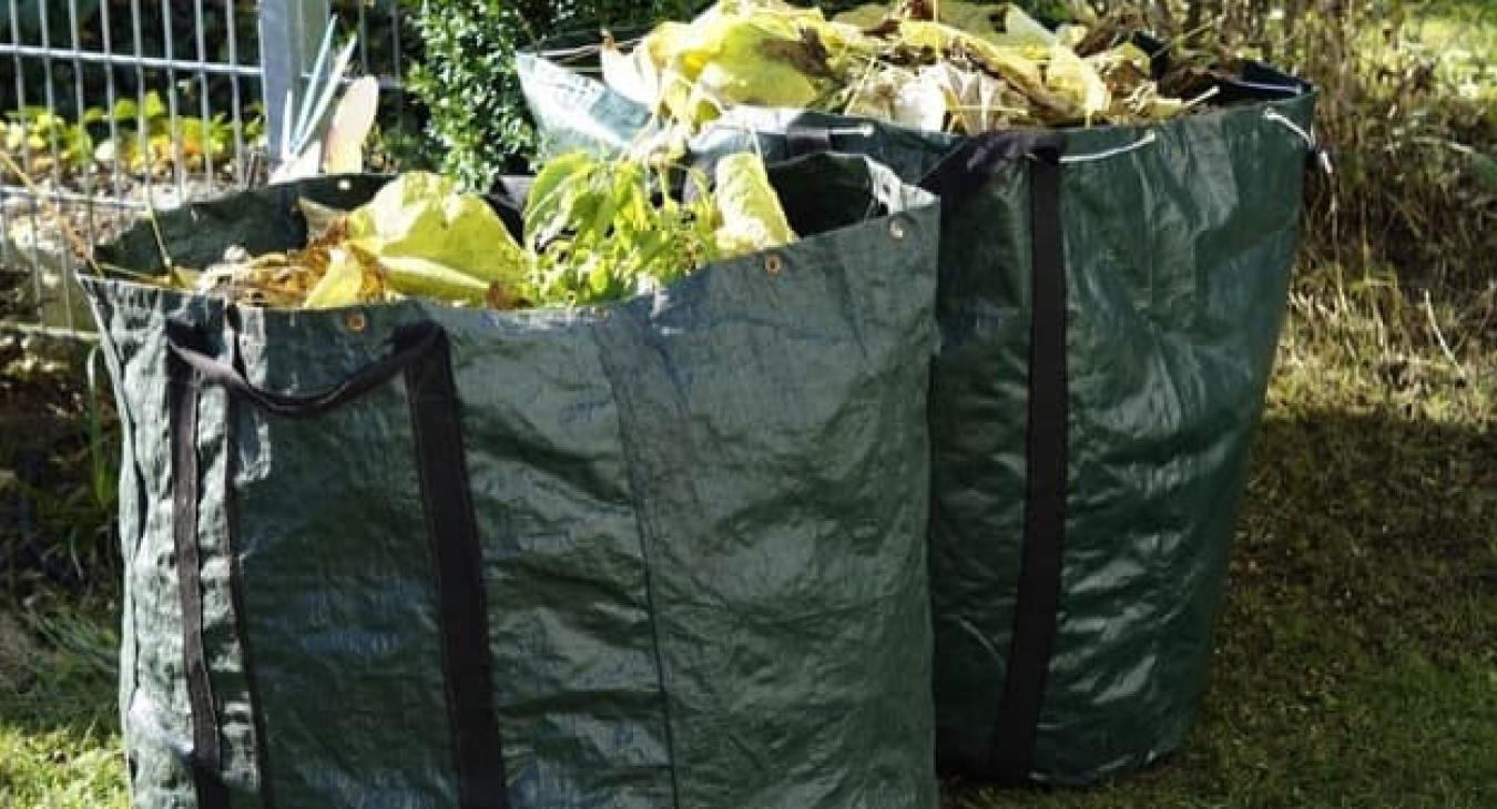 Élagueur 77 À votre service