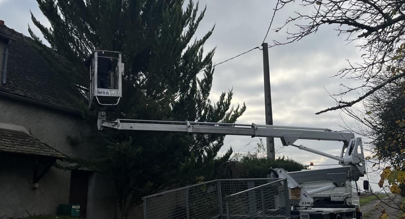 Élagage avec camion nacelle