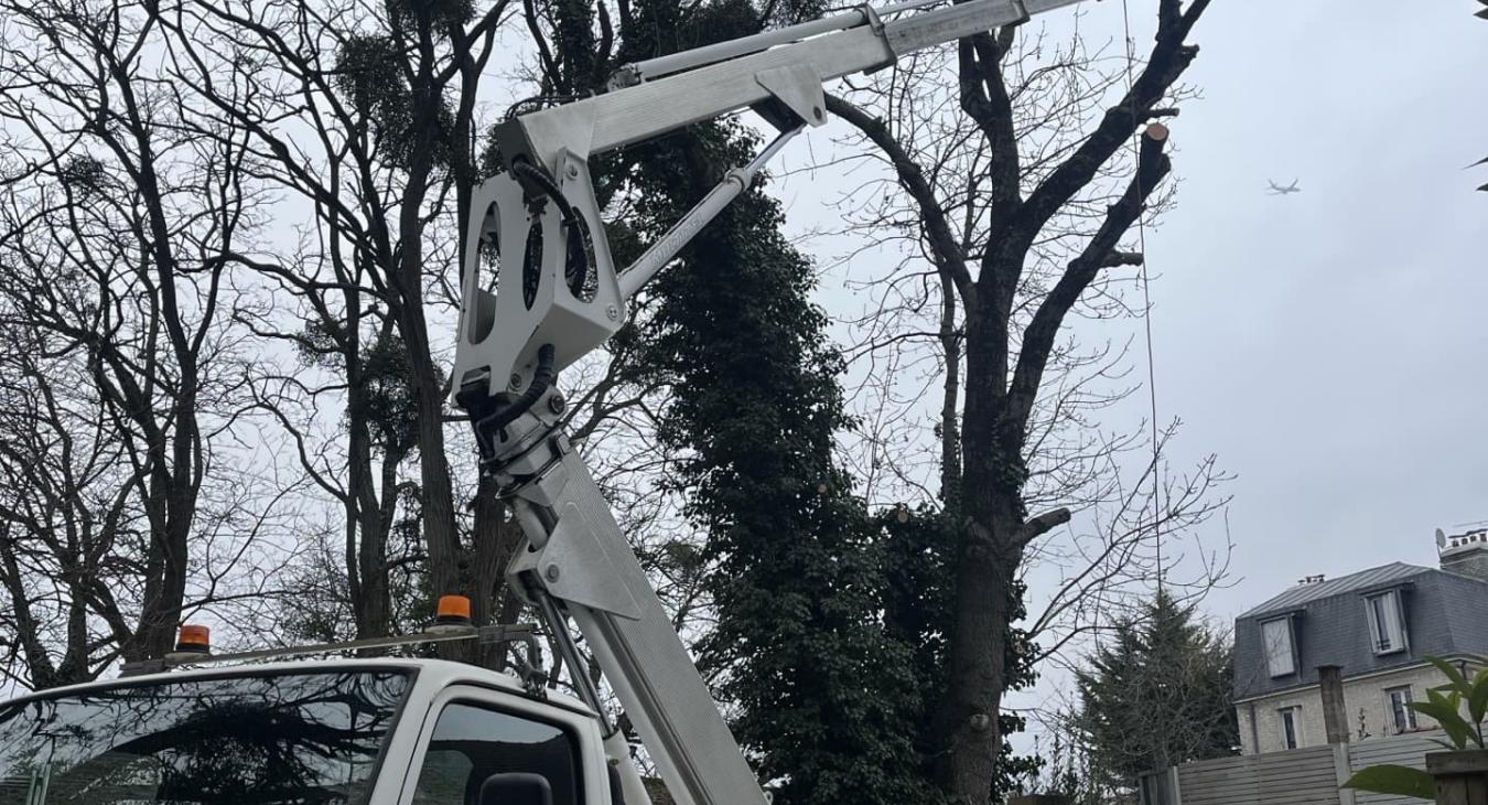 Élagage de grande hauteur Villeneuve-le-Roi